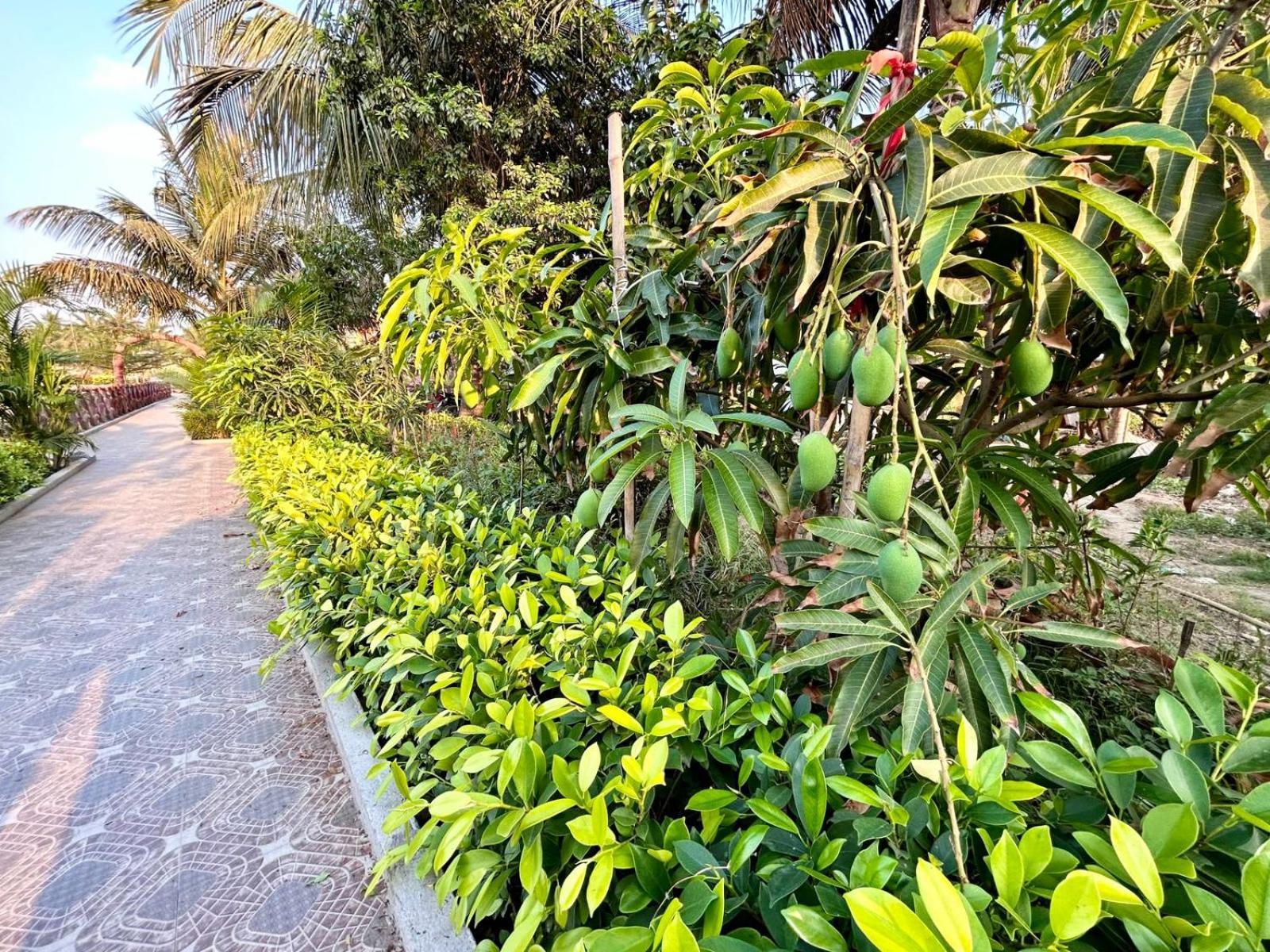 Palli Bangla Resort, Near Ruby Hospital, Anandapur Kalkata Exteriér fotografie